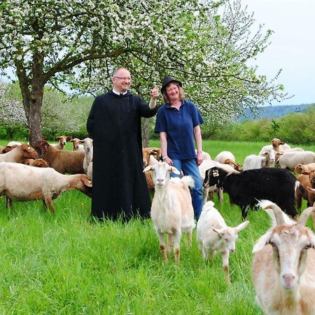 Kloster Plankstetten Gaste- Und Tagungshaus Berching Eksteriør bilde